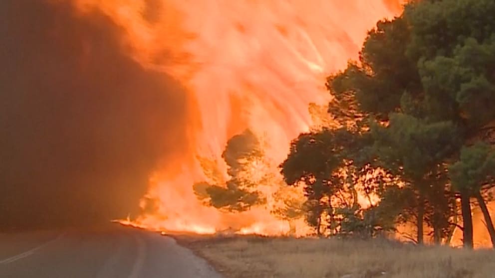 Griechenland bekämpft weiterhin Waldbrände in der Nähe von Athen