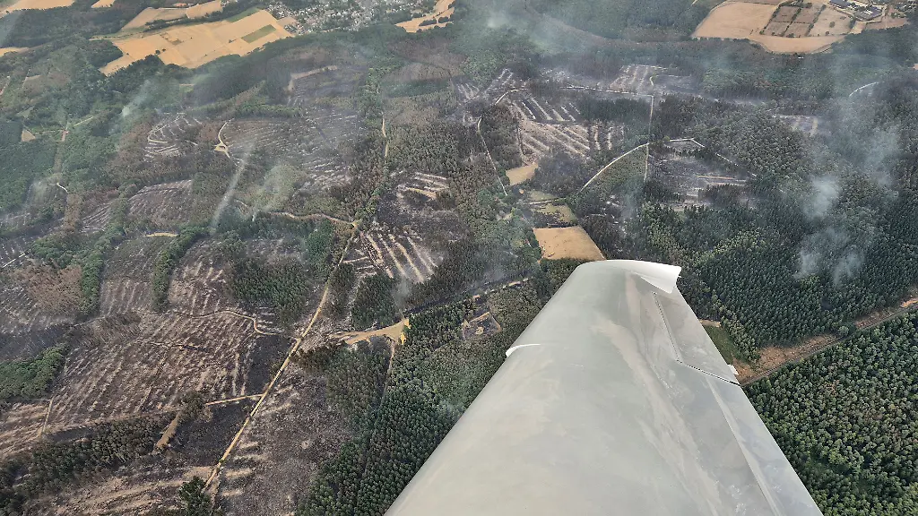 Großbrand im Hürtgenwald: Ursachen, Eindämmung und Wege zurück zur Normalität