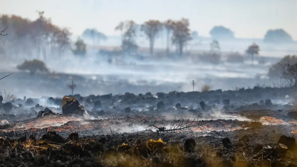 Studie zu Waldbränden: Menschliche Ursachen dominieren