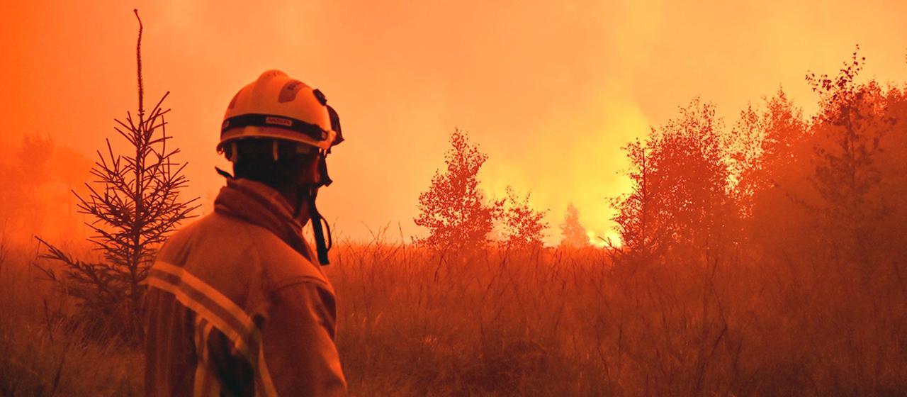 Waldbrandgefahr in Europa durch Klimawandel