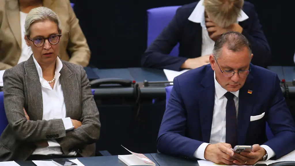 Juristen fordern Verbotsverfahren: AfD im Fokus