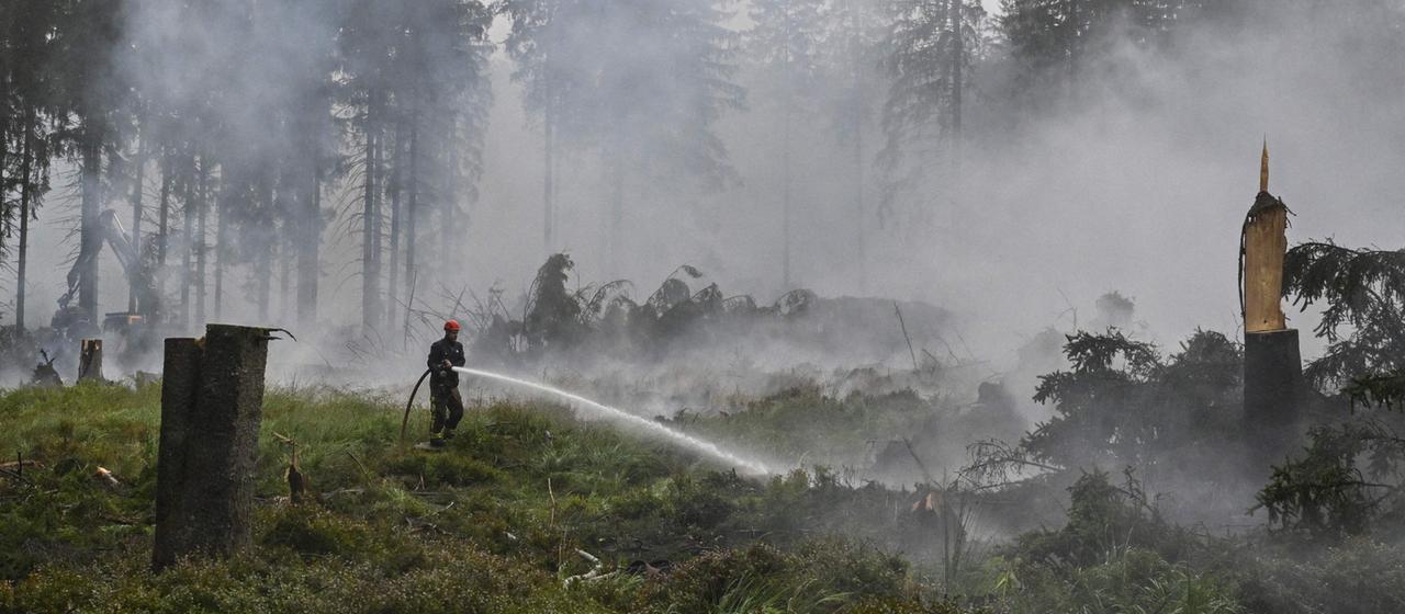 Waldbrand im Hohen Venn: Aktueller Stand und Maßnahmen