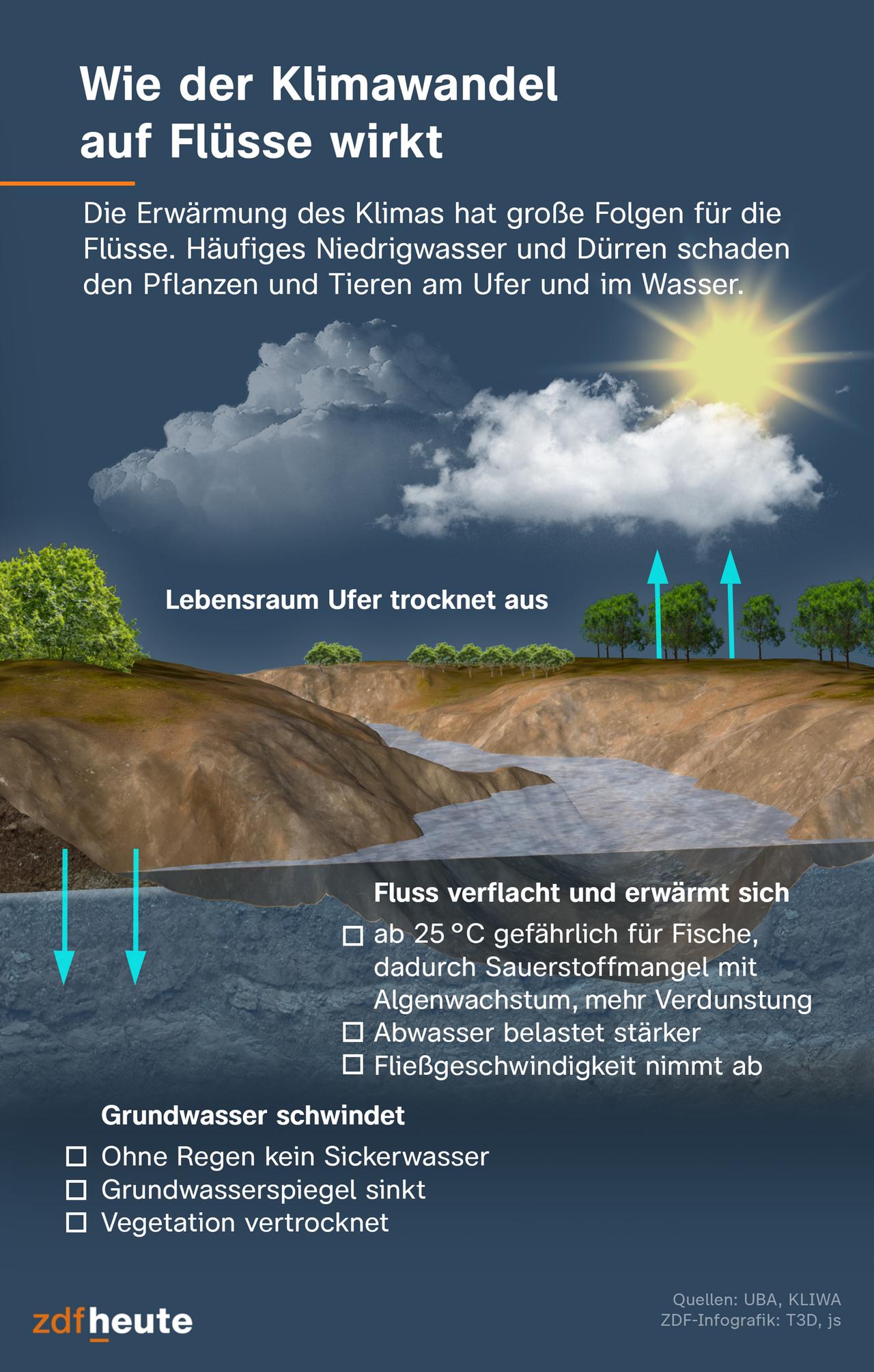 Niedrige Wasserstände belasten Wirtschaft und Verkehr