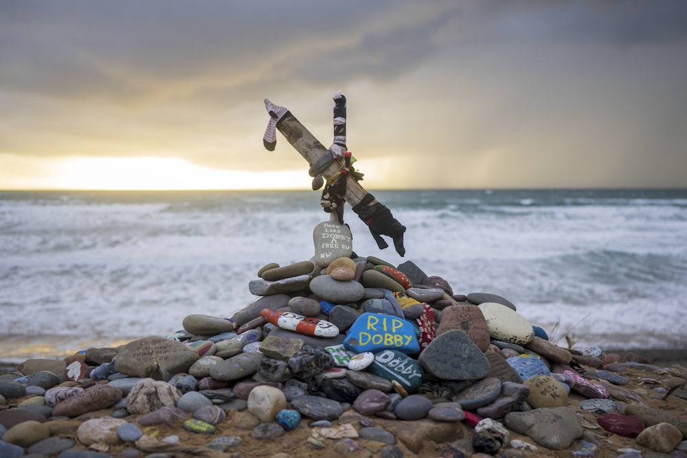 Harry Potter-Fans verhindern Bauprojekt wegen Dobby-Denkmal