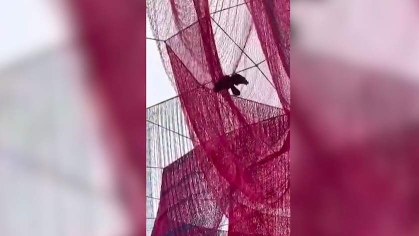 Netz-Skulptur in Frankfurt sorgt für Diskussionen