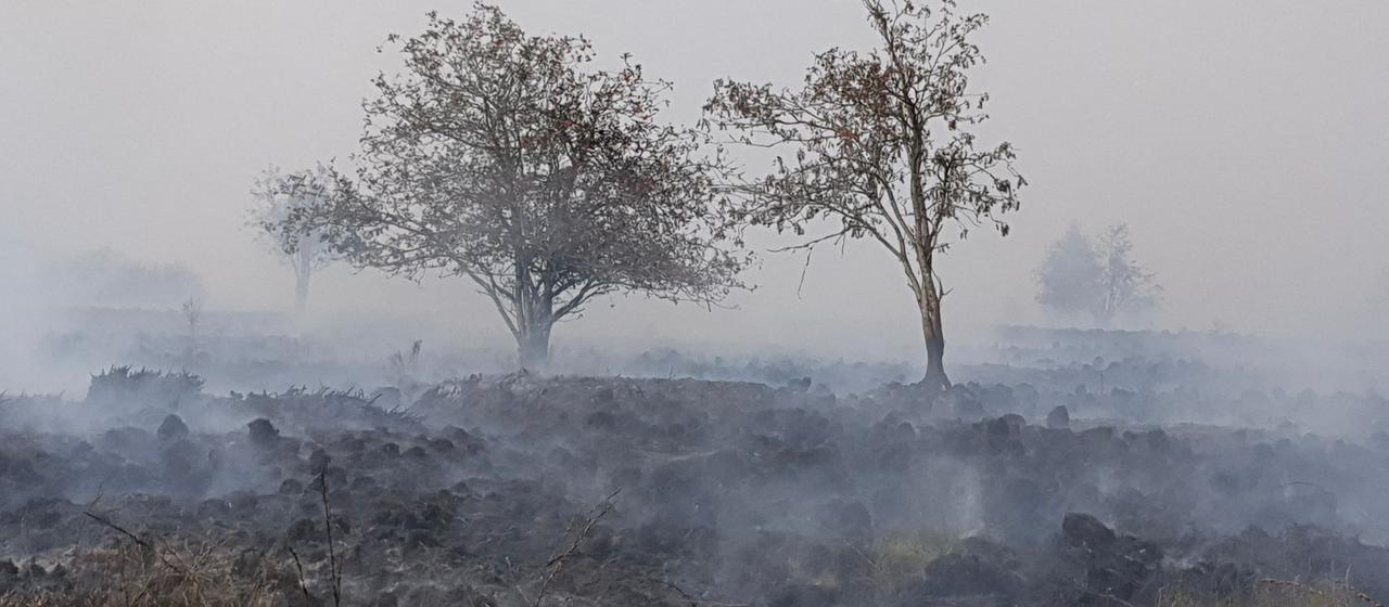 Großbrand im Hohen Venn: Auswirkungen auf Deutschland