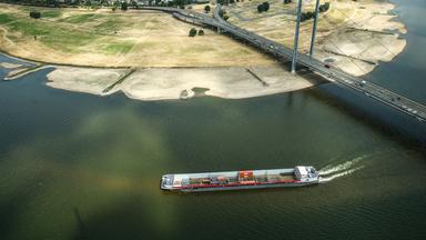 Niedrigwasser im Rhein: Auswirkungen auf Verkehr und Industrie