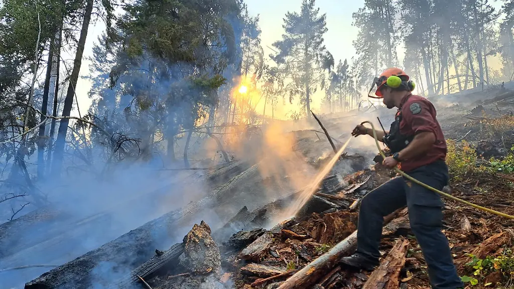 Waldbrände in British Columbia: Umfangreiche Maßnahmen zur Eindämmung