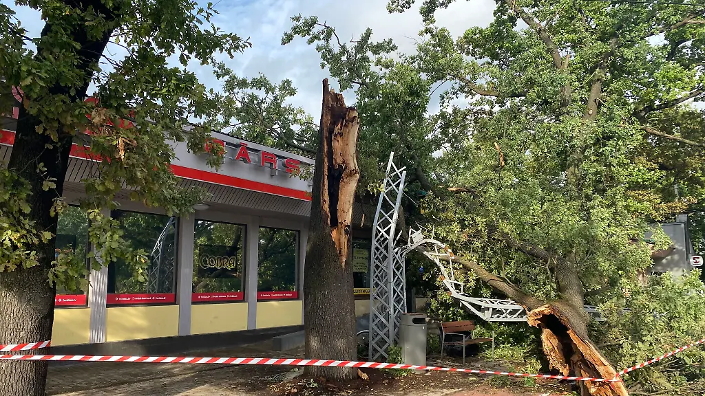 Schwere Stürme im Baltikum führen zu massiven Schäden