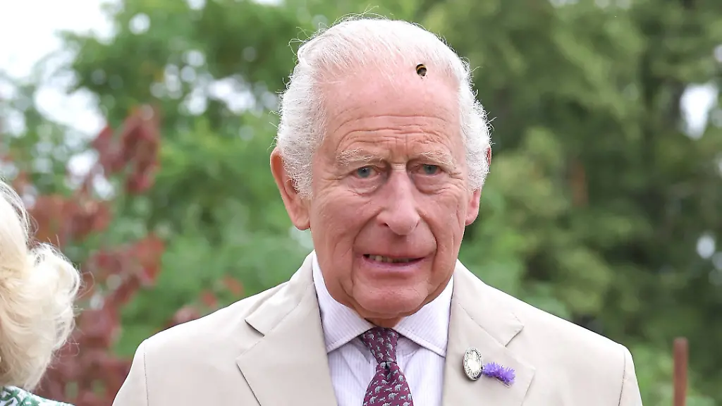 König Charles III. unterstützt britische Hutmacherin mit Weizenfeld-Ernte