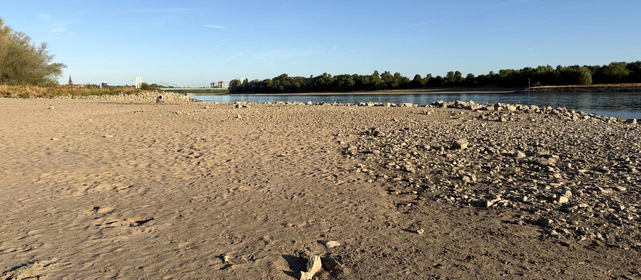 Niedriger Rhein-Pegel: Auswirkungen auf Logistik und Landwirtschaft