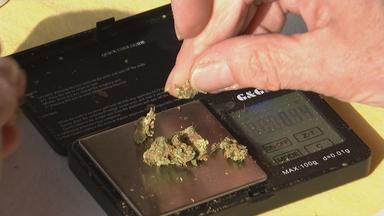 GKV-Sparpaket und die Auswirkungen auf Cannabis-Therapie