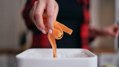 Tipps von Pflanzen-Expertin Anja Koenzen für den richtigen Umgang mit Ahorn