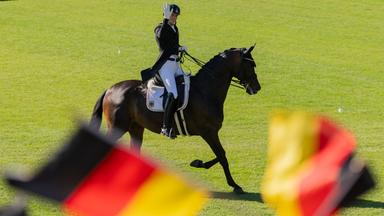 Deutsches Dressur-Team bei Reit-WM auf Gold-Kurs