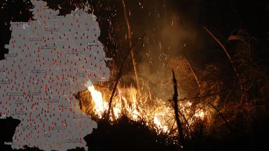 Deutschland kämpft mit Waldbrandgefahr in Zeiten der Dürre