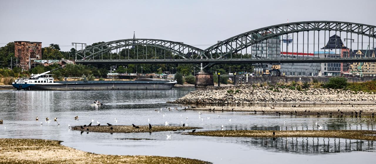 Historischer Tiefstand des Rheins: Krisentreffen einberufen