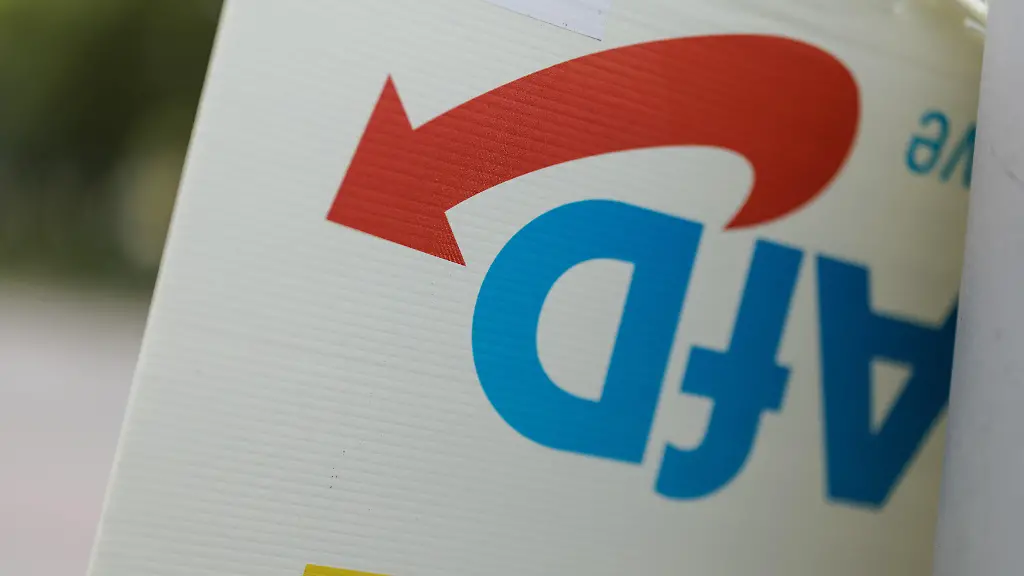 Politiker fordern AfD-Verbotsverfahren