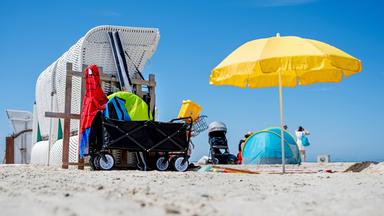 Urlaubsandenken: Wann das Sammeln von Muscheln und Sand verboten ist