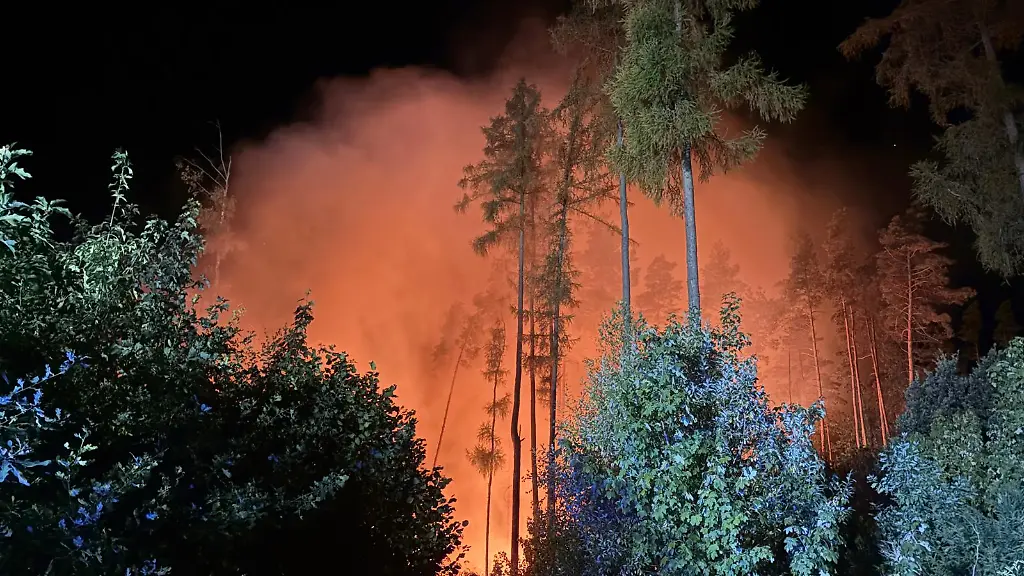 Großer Waldbrand im Vogtland erschwert Einsatz der Feuerwehr