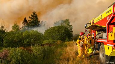 Herausforderungen bei der Bekämpfung von Waldbränden im Hohen Venn