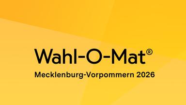 Landtagswahlkampf in Mecklenburg-Vorpommern: Wahl-O-Mat und Umfragen