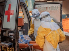 Ebola-Ausbruch in Zentralafrika: Die Situation im Kongo