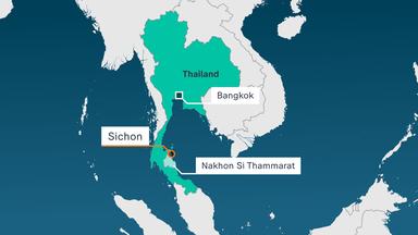 13-Jähriger stirbt nach Stich einer Würfelqualle in Thailand