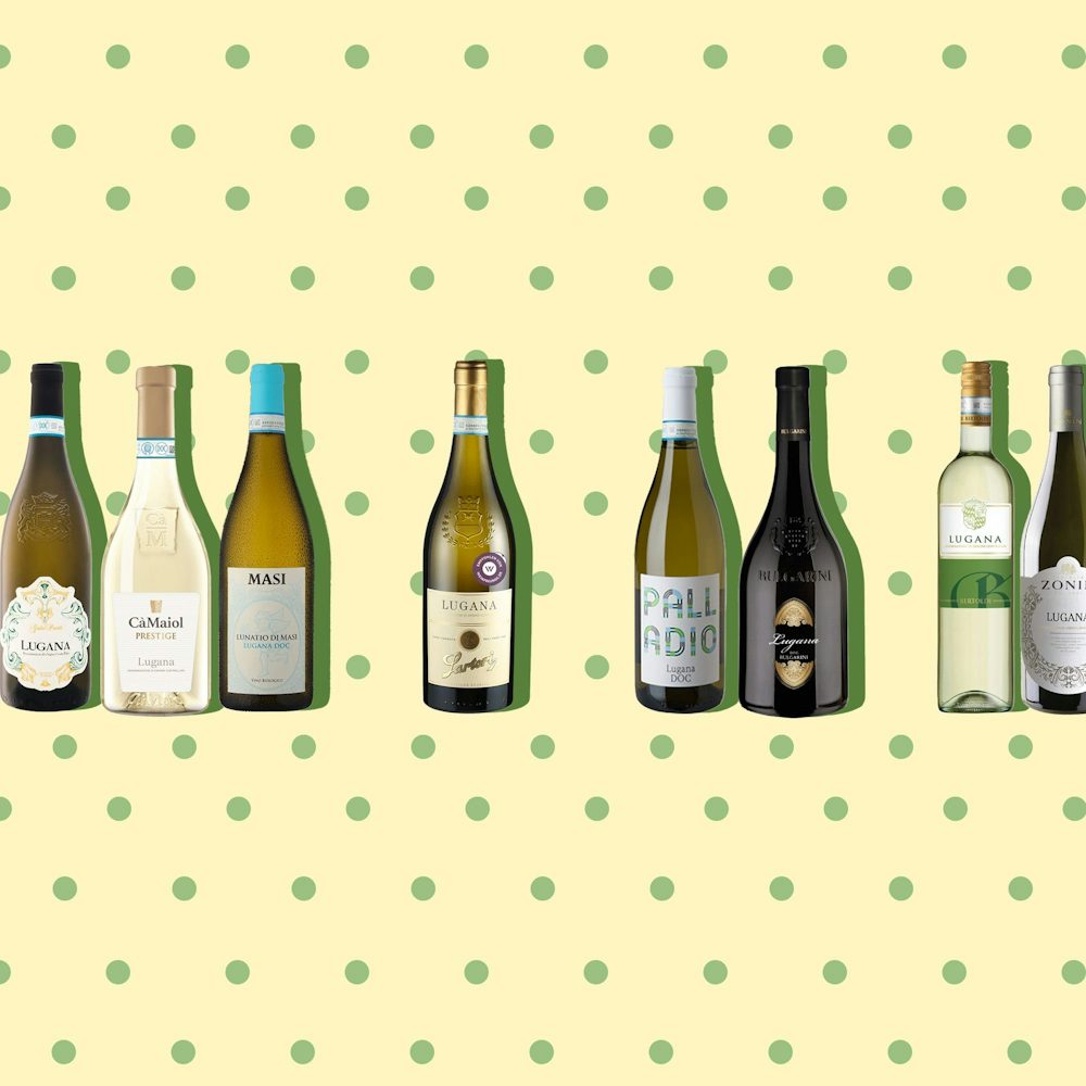 Gardasee-Vibes im Glas: Eine Verkostung von Lugana-Weinen