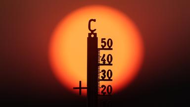 Wetterextreme in Westeuropa: Rekordhitze und Dürre im Sommer