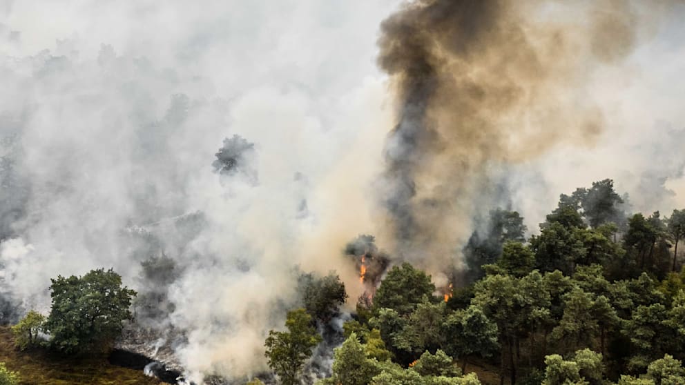 Waldbrand nahe deutscher Grenze breitet sich aus
