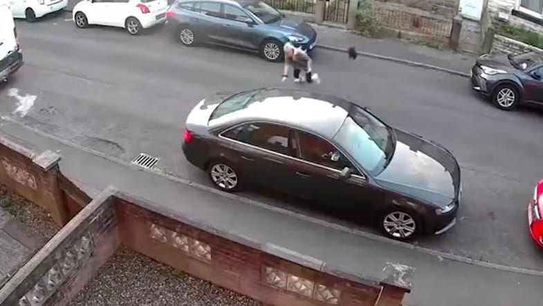 Unerwarteter Angriff durch Krähe in Burnley