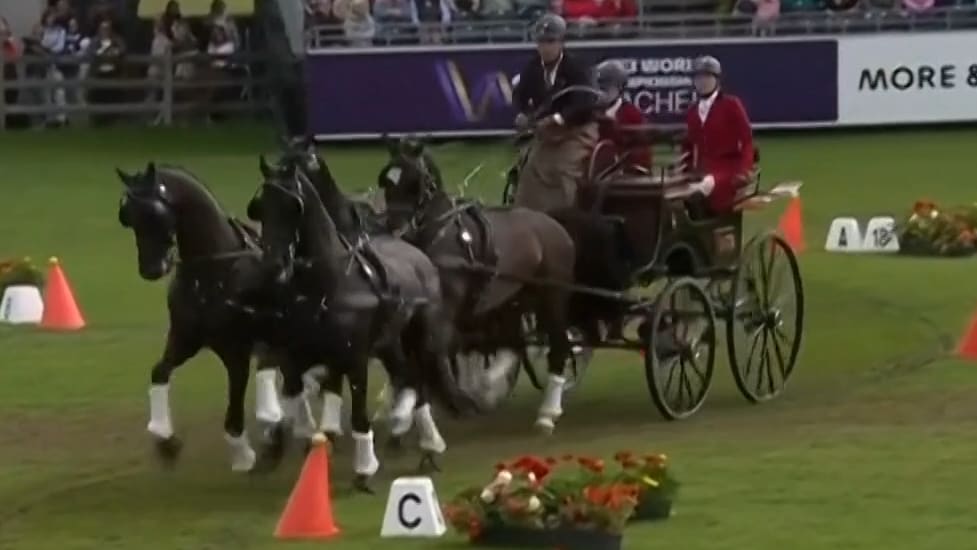 Ben Hur lässt grüßen: Diese Kutschen rasen um den WM-Titel