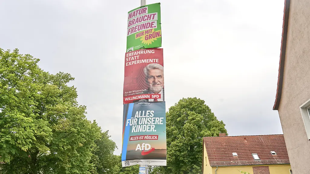 CDU verliert in Umfrage – AfD in Sachsen-Anhalt baut Vorsprung aus