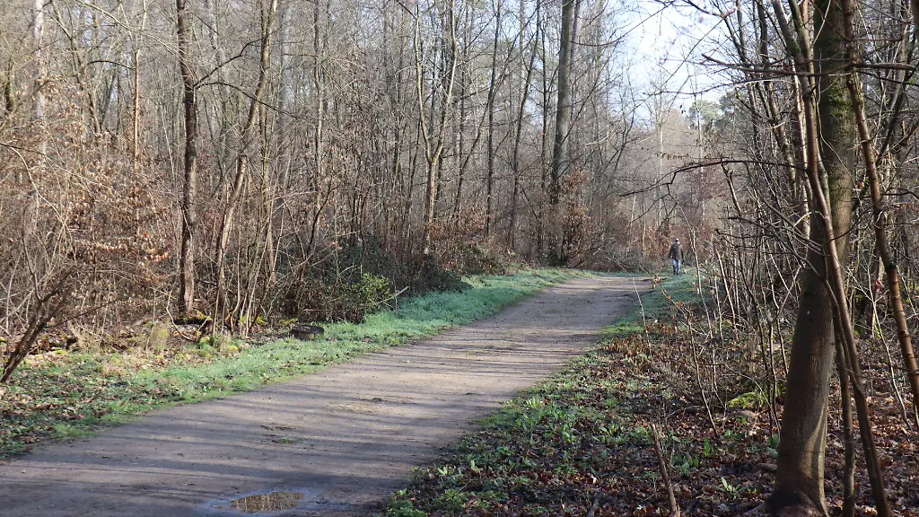 Anklage wegen Mordes an 19-jähriger Freundin