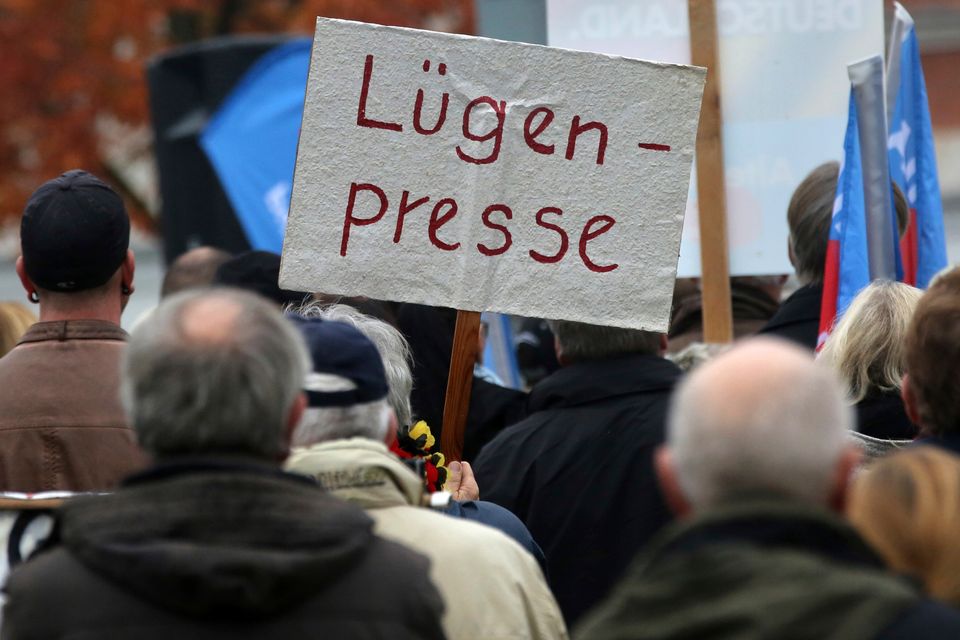 Demo von AfD-Anhängern in Rostock: Gegenrealität erzeugt