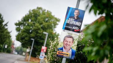 Landtagswahlen in Sachsen-Anhalt: Die Rolle der AfD und die Herausforderungen der Demokratie