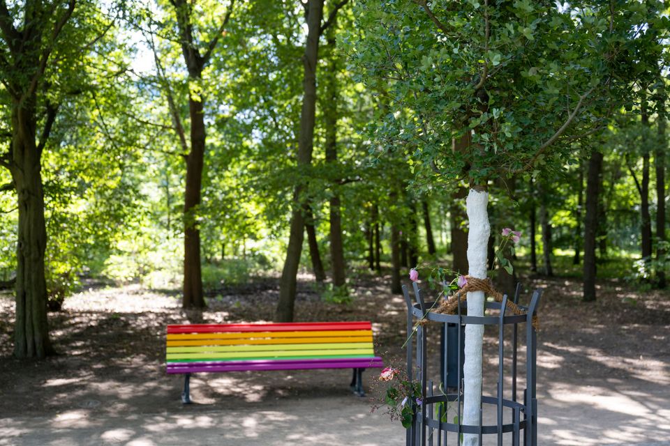 Bank im Berliner Tiergarten in Regenbogenfarben zerstört