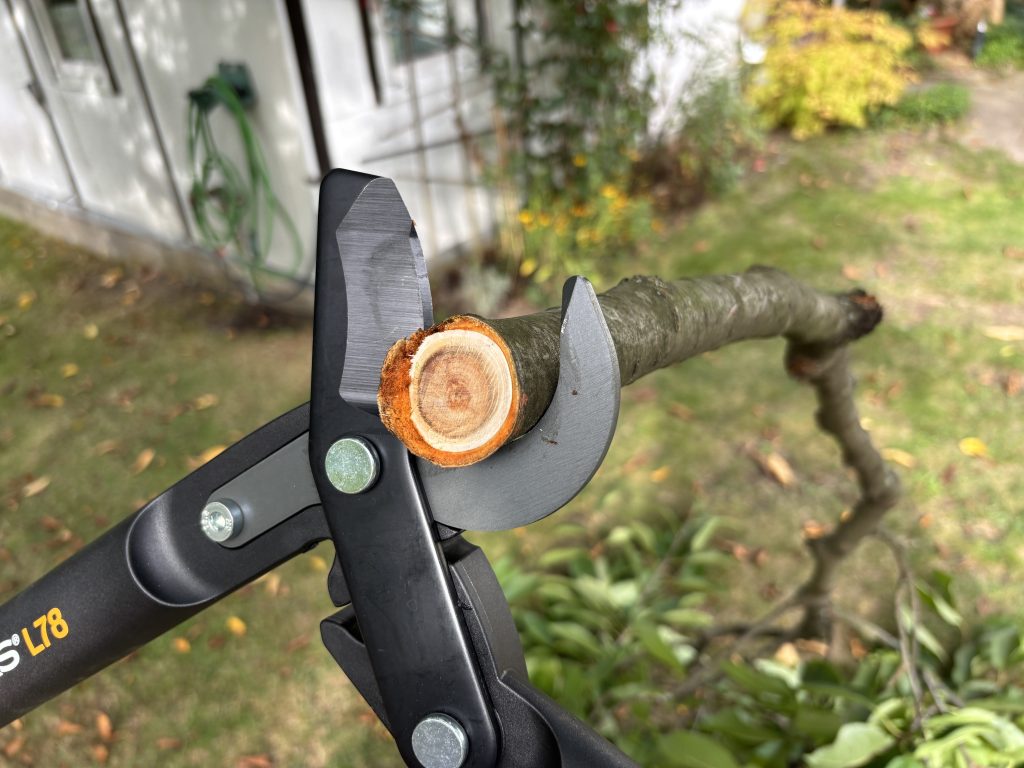 Astscheren im Test: Fiskars PowerGear II überzeugt