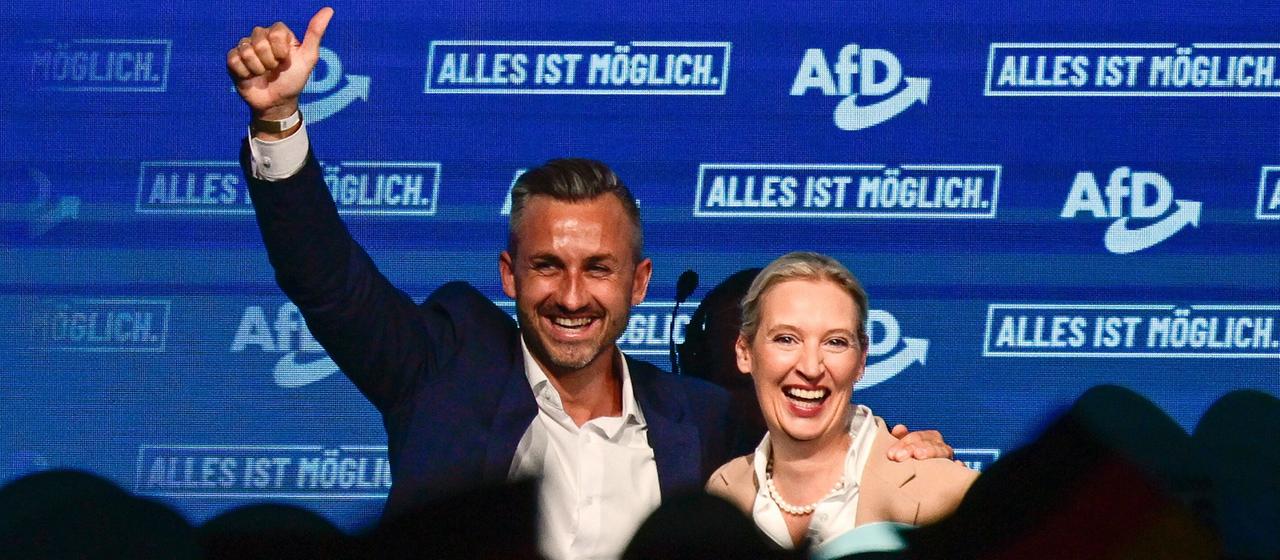 Analyse der politischen Lage der AfD vor der Landtagswahl in Sachsen-Anhalt