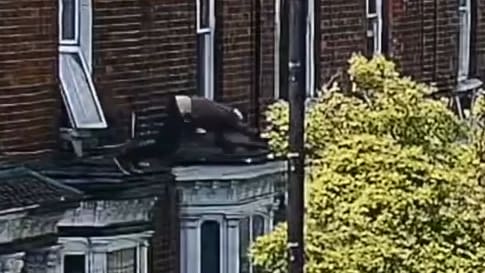 Spektakuläre Flucht: Mann springt aus dem Fenster vor Entführern