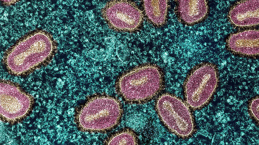 Übertragung und Rolle von Spermien bei Mpox-Infektionen
