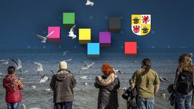 AfD gewinnt Landtagswahl in Mecklenburg-Vorpommern, verfehlt aber absolute Mehrheit