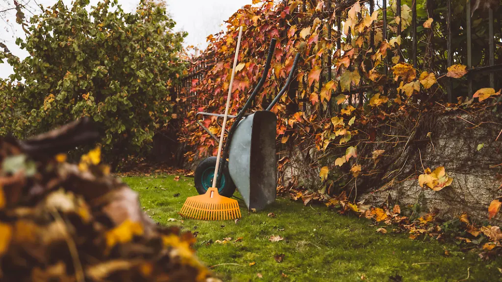 Gartenarbeiten im September: So bereiten Sie Ihren Garten auf den Herbst vor