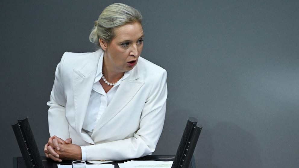 Alice Weidel kritisiert Energiewende im Bundestag
