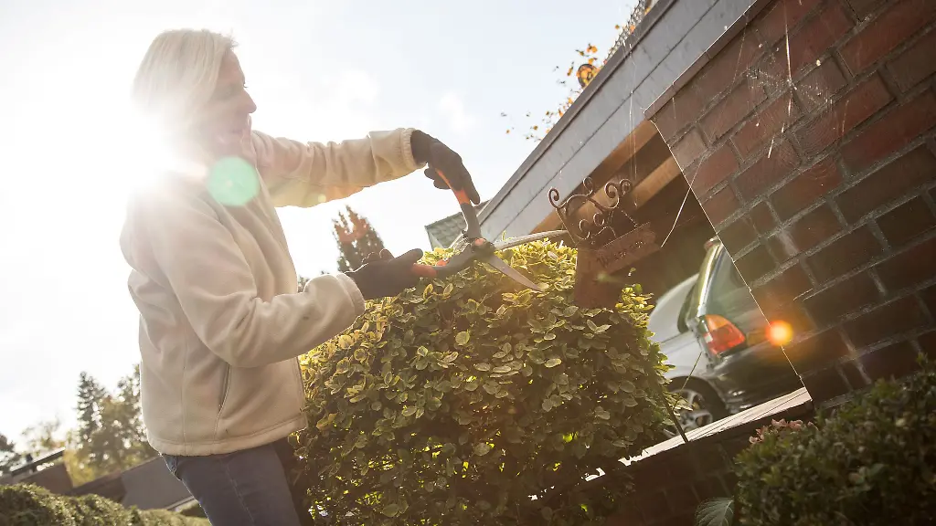 Der Garten für den Winter vorbereiten: Schritt für Schritt