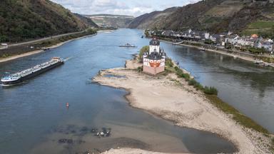 Niedrigwasser im Rhein belastet Wirtschaft erheblich