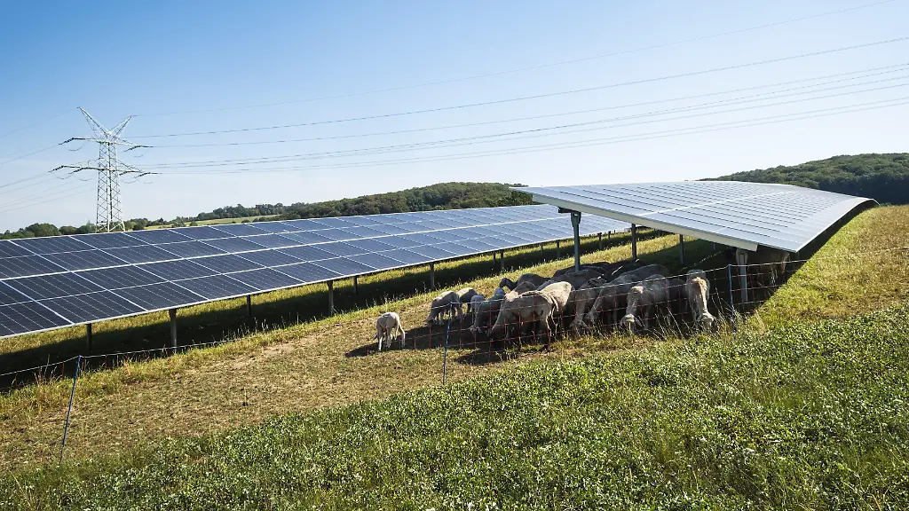 Deutschland erreicht neuen Rekord bei Solarstromproduktion