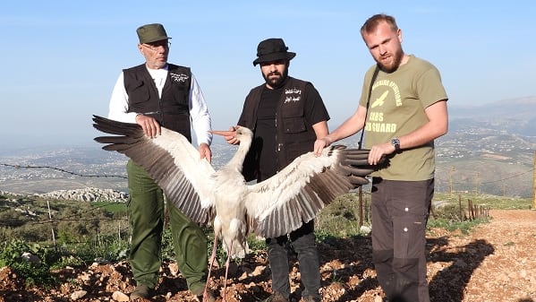 Gefahr für Weißstörche auf ihrer Reise in den Süden