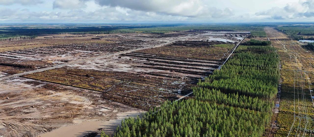 Google investiert Milliarden in Finnland – Umweltbedenken durch Rodungen