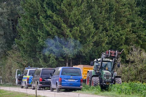 Keine Hinweise auf Puma in Notzinger Moos entdeckt